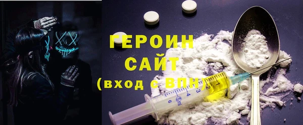 гидра Богородицк
