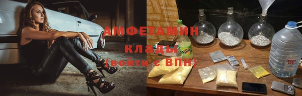 гидра Богородицк