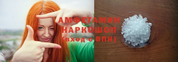 гидра Богородицк
