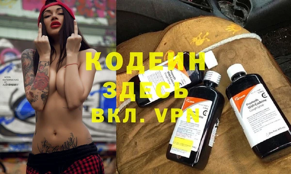гидра Богородицк