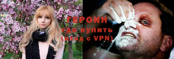 гидра Богородицк