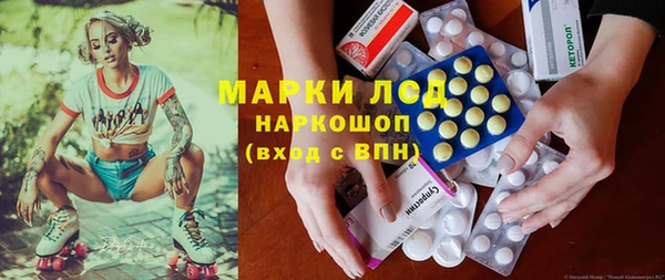 гашик Бородино