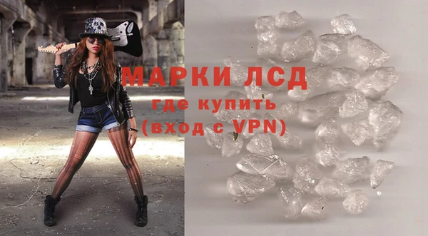 стаф Богданович