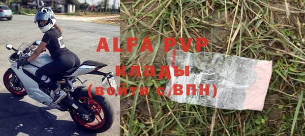 гидра Богородицк