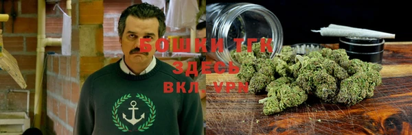 стаф Богданович